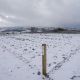 8dsc_7804_copy.jpg