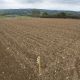 2dsc_5580_copy.jpg