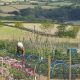 24dsc_0519_copy.jpg