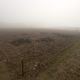 5dsc_1256.jpg
